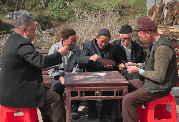 育英村是否适合老年人养老，环境与条件的深度探讨