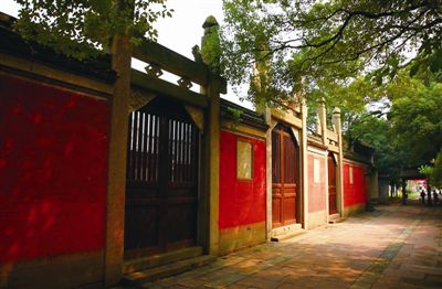 宁波慈城老年护理养老院，长者的温馨港湾守护者