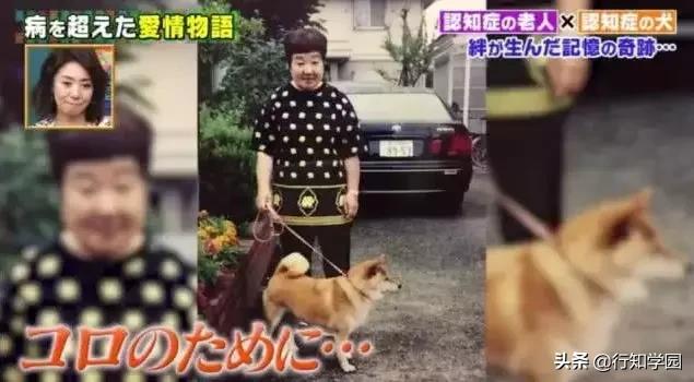 老年痴呆患者能否入住养老院，全面解析与关怀建议