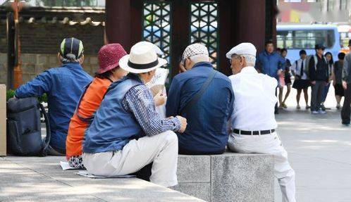 麻园养老，老年人的归宿与现状深度探讨