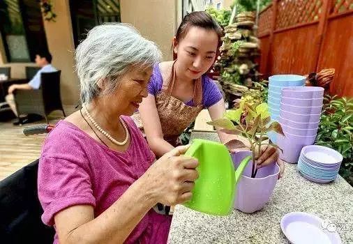 麻园养老，老年人的归宿与现状探讨