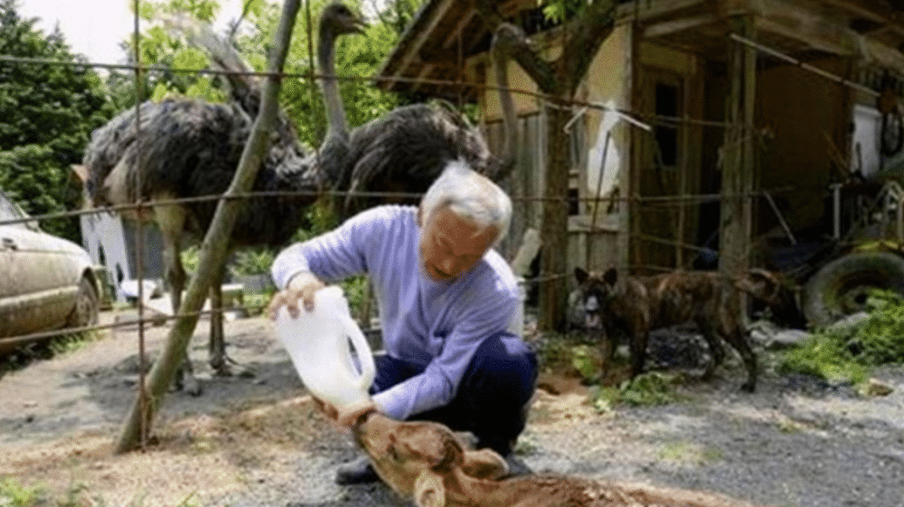 赣县区杨仙老年养老院，关怀与温暖的养老港湾