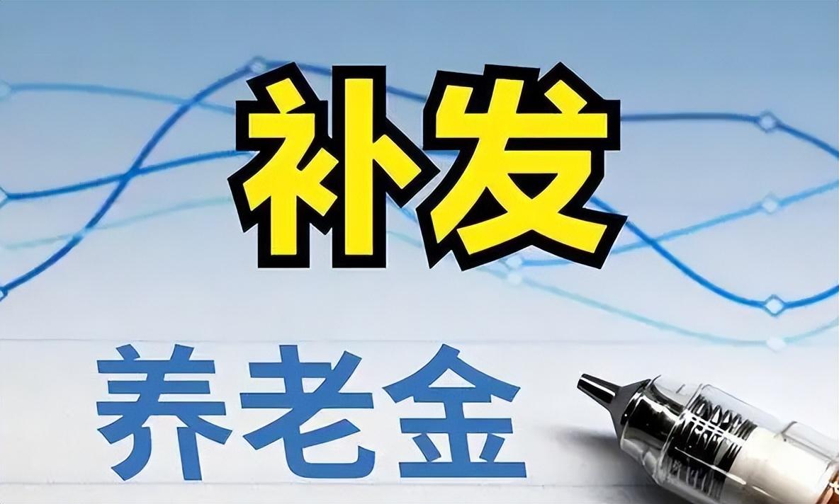 重庆老年人养老金补发的现状、原因及对策分析
