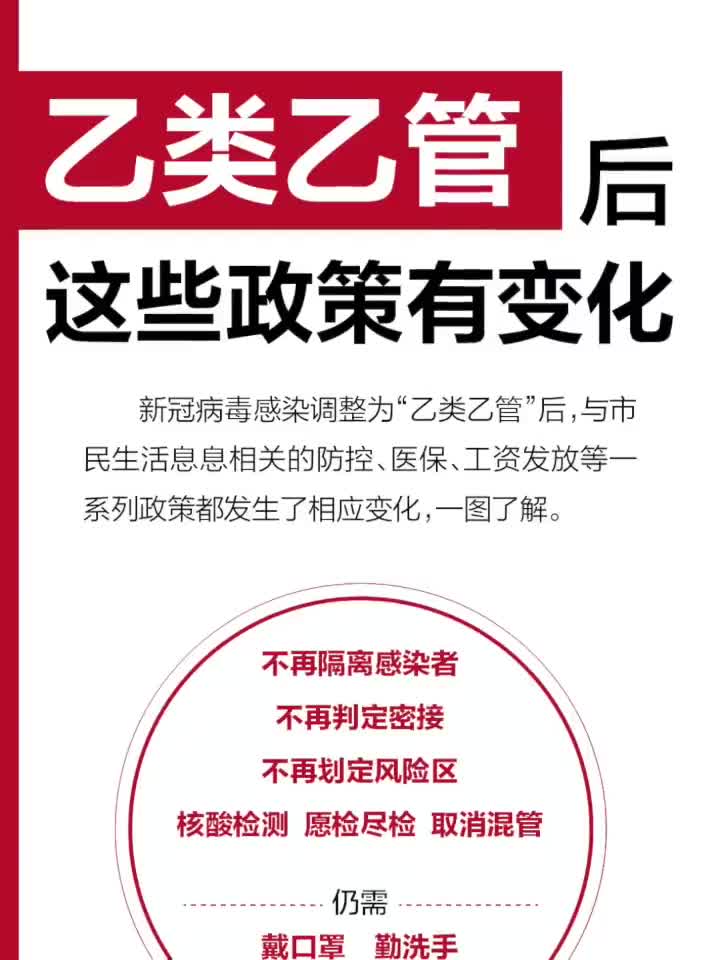 乙类乙管政策解读，要点速览与影响分析