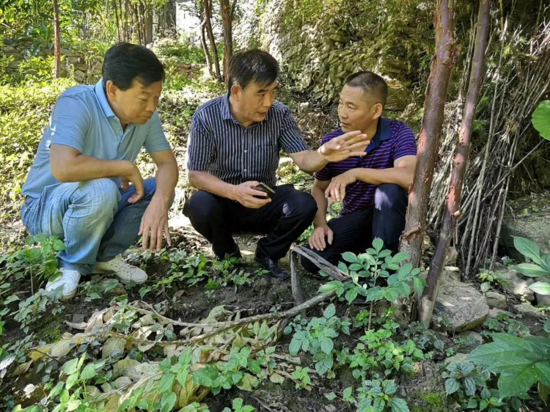岚皋县第二批省实验室揭牌仪式，开启科技创新的新篇章