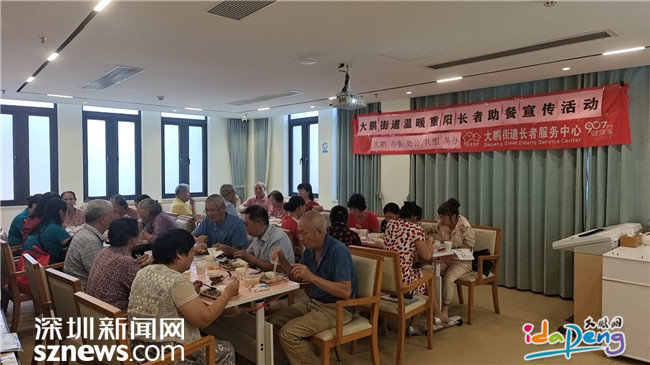 深度探讨特殊群体养老需求，个性化解决方案与建议