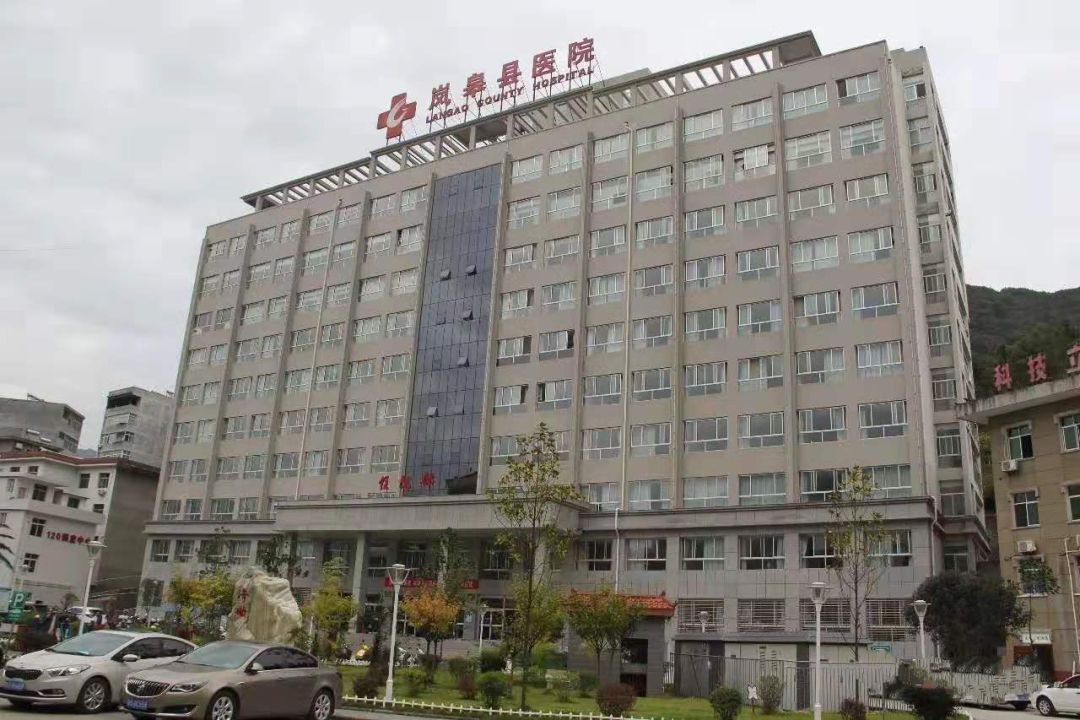 岚皋县全方位服务详解，涵盖八大类别共82项服务，涵盖教育、养老、就医、住房等全方位保障