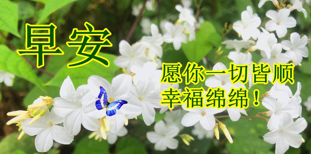 金色心语，告别2021，一首友谊地久天长送给所有朋友们