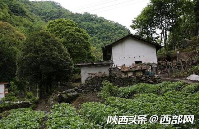 探寻长寿之乡岚皋县的百岁老人长寿秘诀，百岁老人过万，周口数量领先