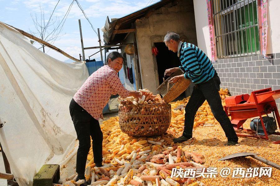 岚皋县卫视金色梦舞台启动云录制，艺术新篇章开启
