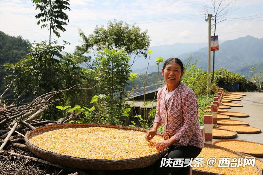 岚皋县卫视金色梦舞台，启动云录制，开启艺术新篇章