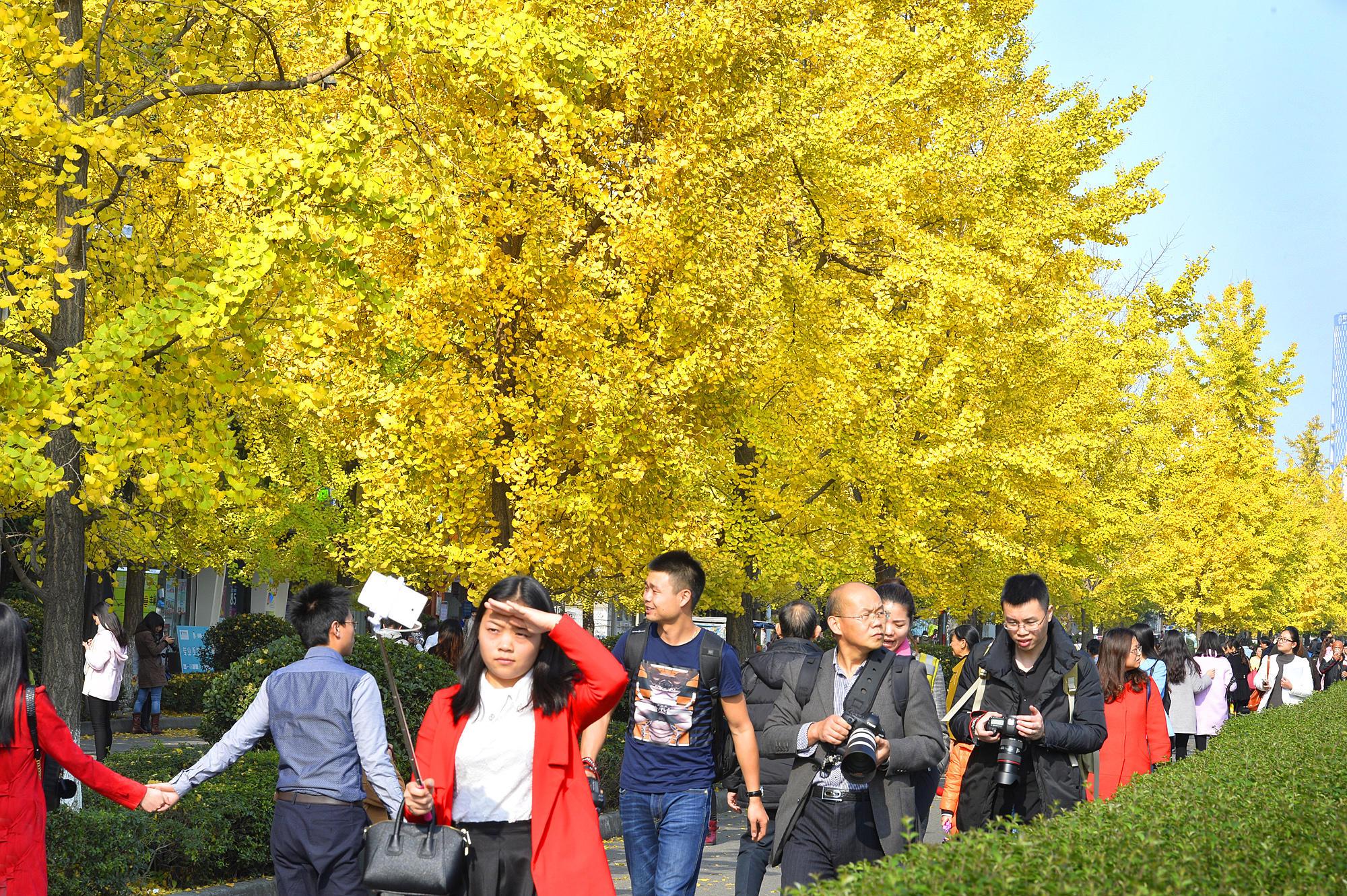 郑州晚报，新一期金色大讲堂开讲，专家教授老人如何五养