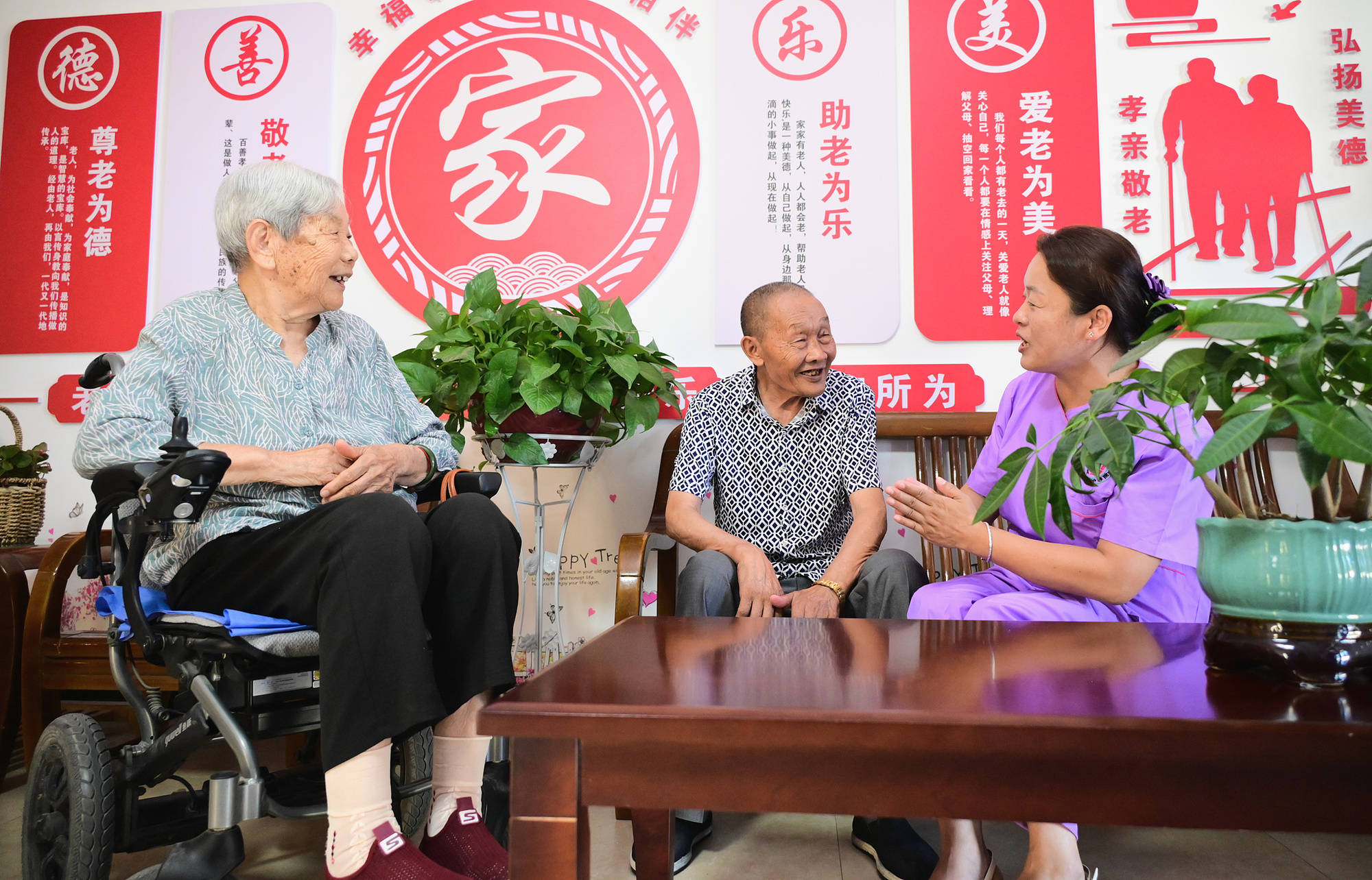 省敬老助老总会，高端养老人才培养的坚实步伐