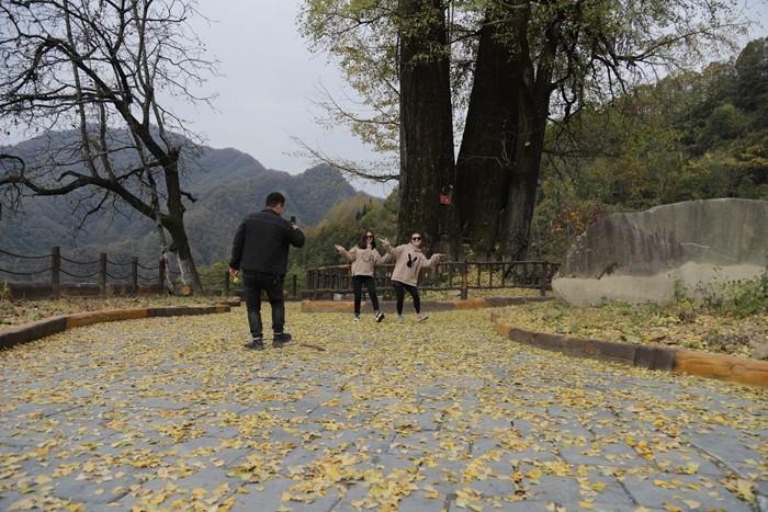 岚皋县金色管家职业培训学校首期培训班盛大启幕