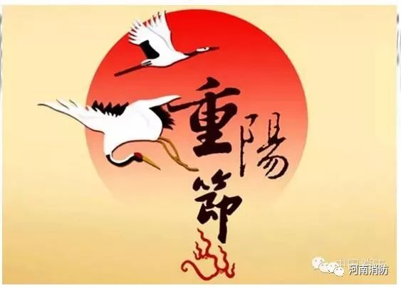 重阳节快乐，传承与庆祝文化内涵的探寻