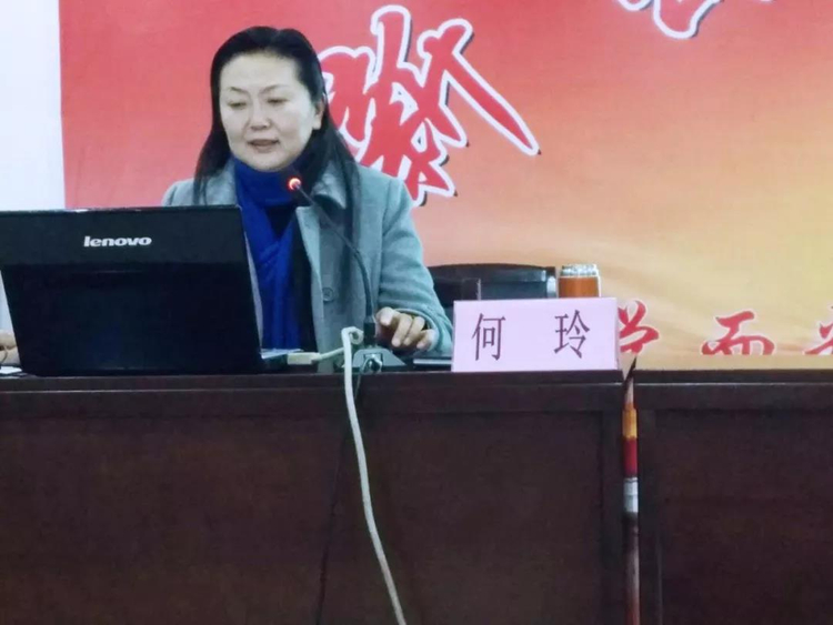 金牌调解员何玲，倾情调解，共筑和谐之梦的家风故事