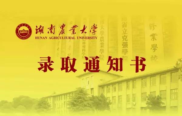 金色大讲堂第六集，移风易俗 莫善于乐深度解读
