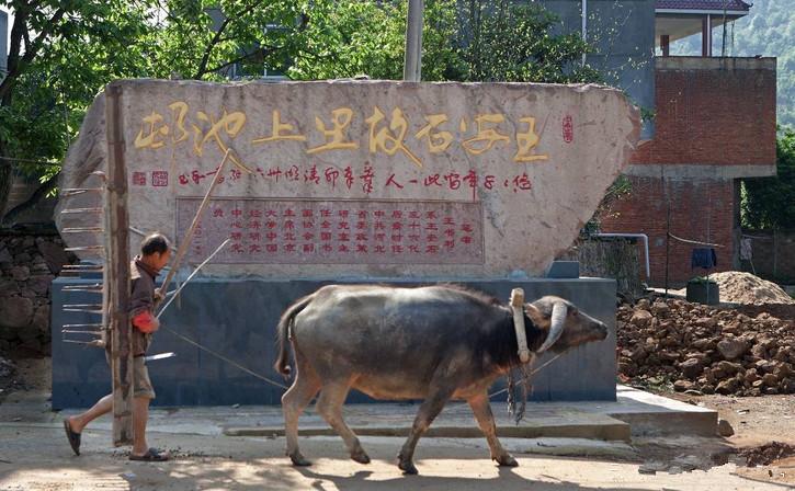 家风传承，本色节俭、进取敬业与团结助人的金色梦舞台之路