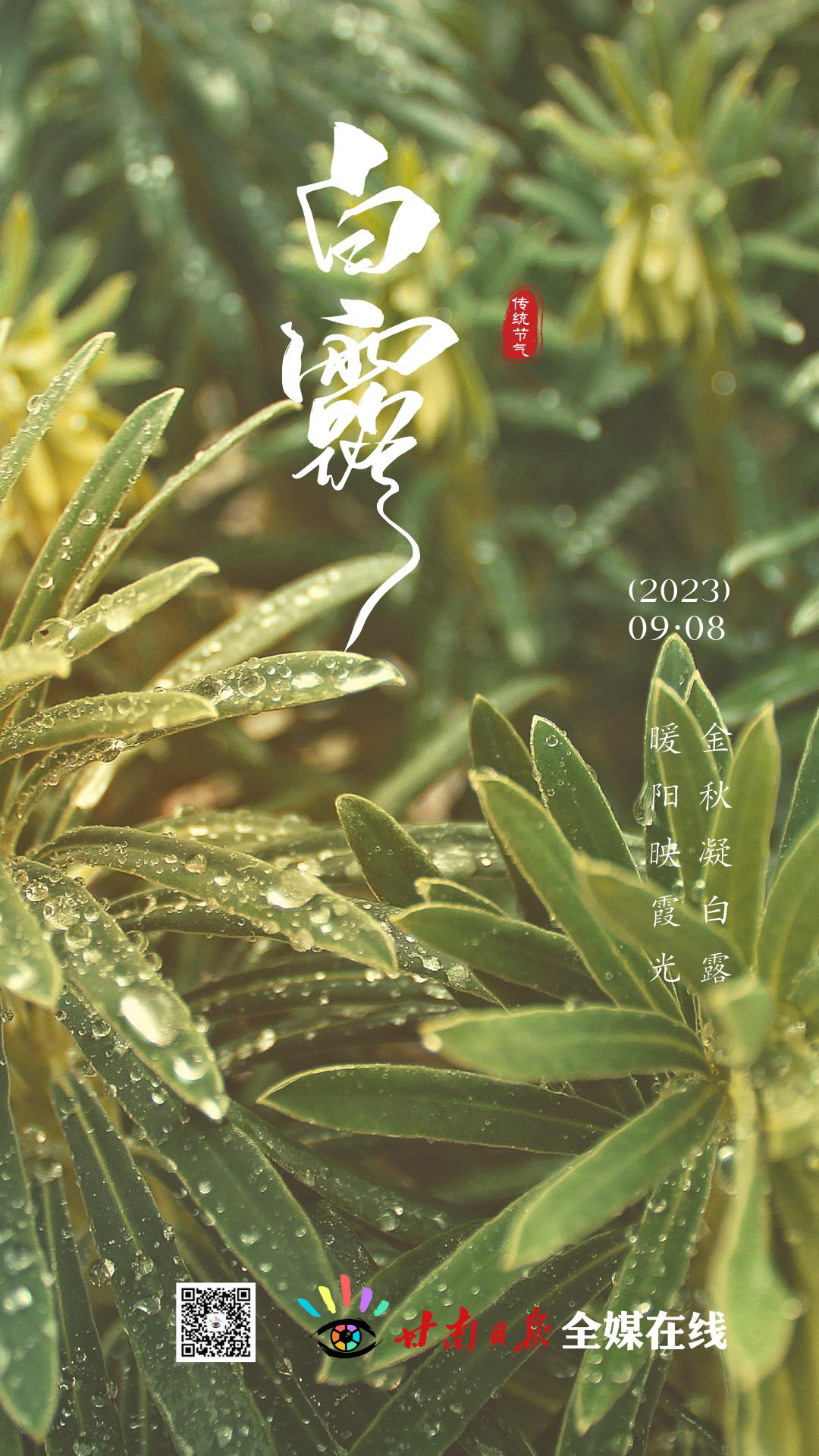 金色大讲堂第18集，深度探索五行人养生奥秘