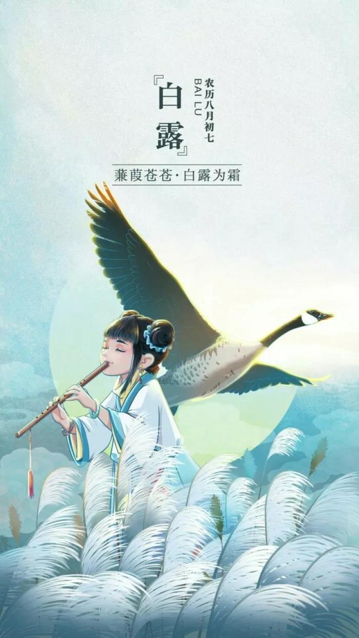 金色大讲堂五行人养生第11集，深入探索五行养生之道