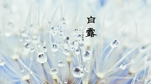 金色大讲堂之五行人养生第3集，深入探索五行养生之道