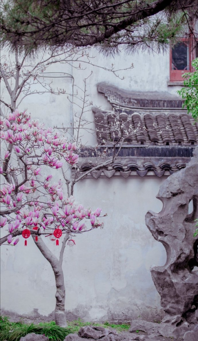春风满院——生命的新生与盎然生机