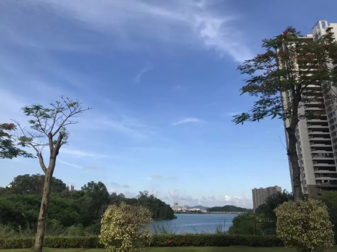 鸳鸯湖畔诗意画卷，自然与文化的和谐交响