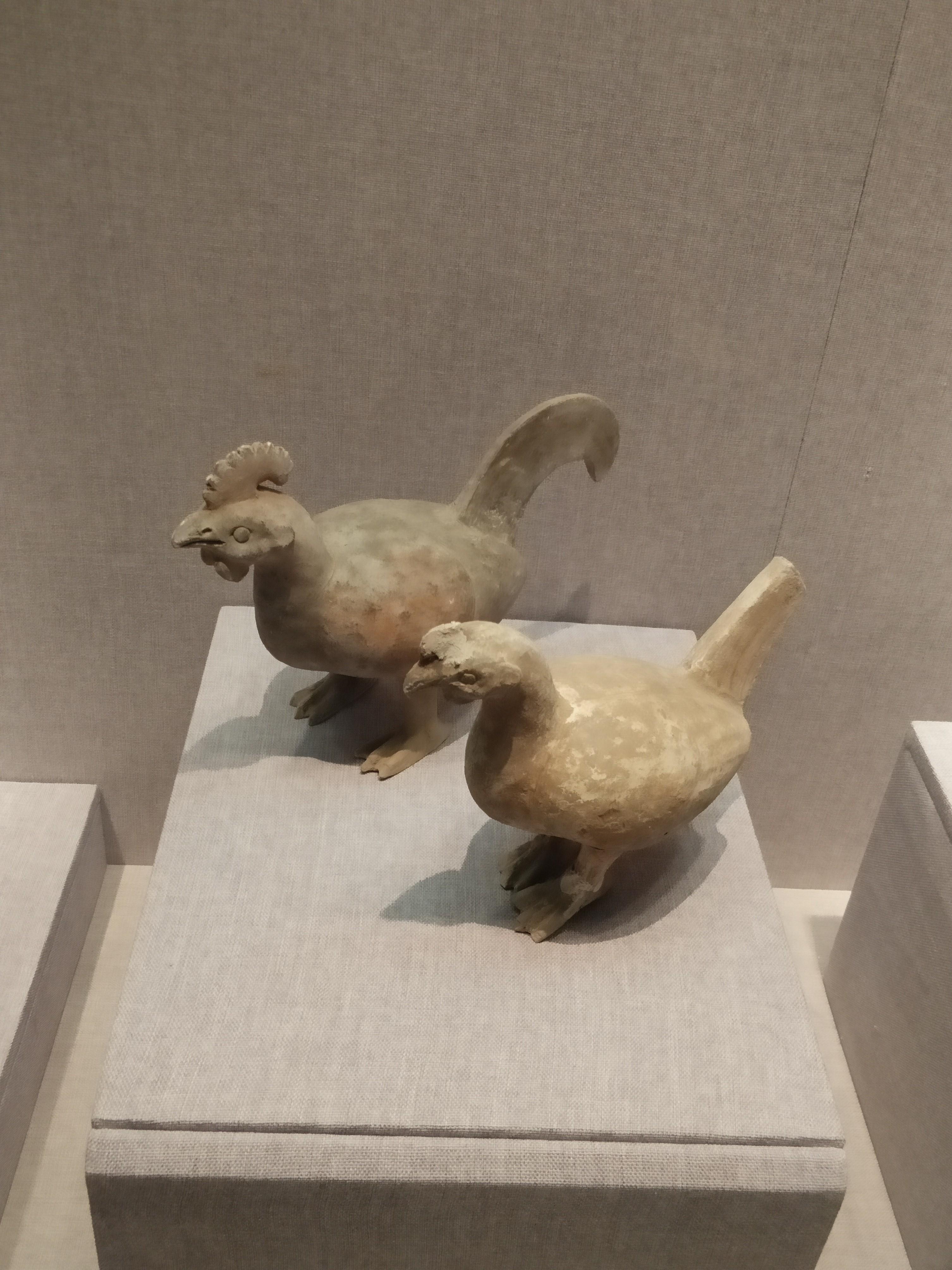 中原大地一明珠，璀璨的历史文化与繁荣的现代发展