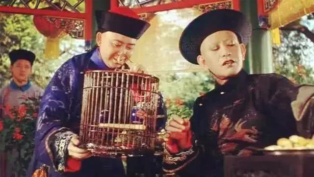 另类的财富，探索非传统财富的价值与意义
