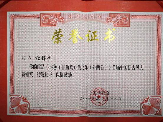 诗歌类金奖，探寻诗坛巅峰之作的奥秘