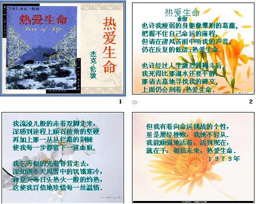 热爱生命，深刻的启示与感悟之路