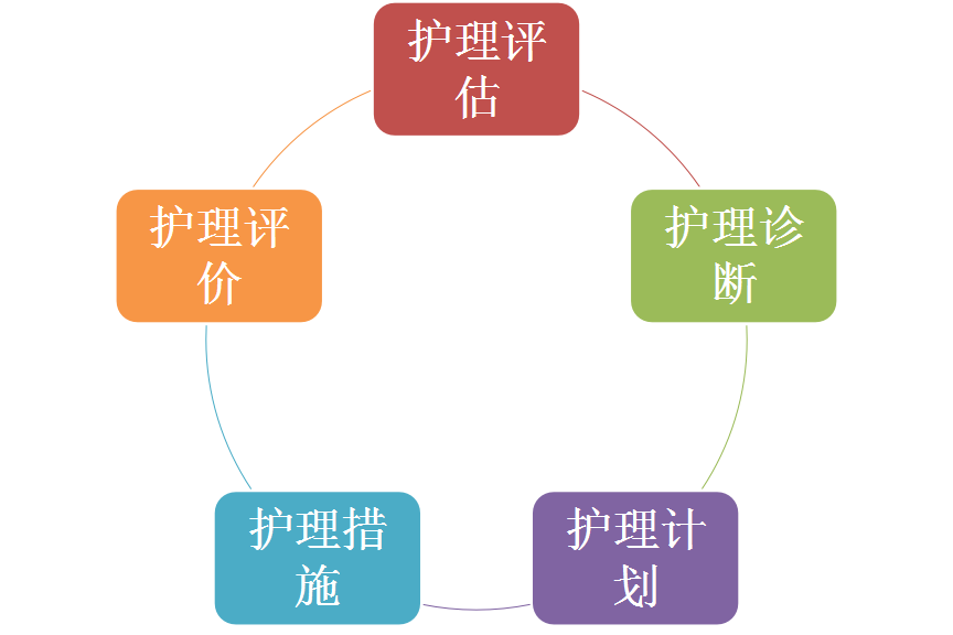 整体护理概念，重塑医疗护理的未来