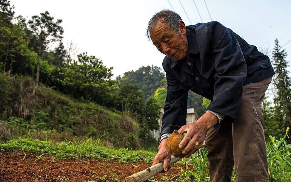 农村老年人养老问题，新闻背景与解决方案