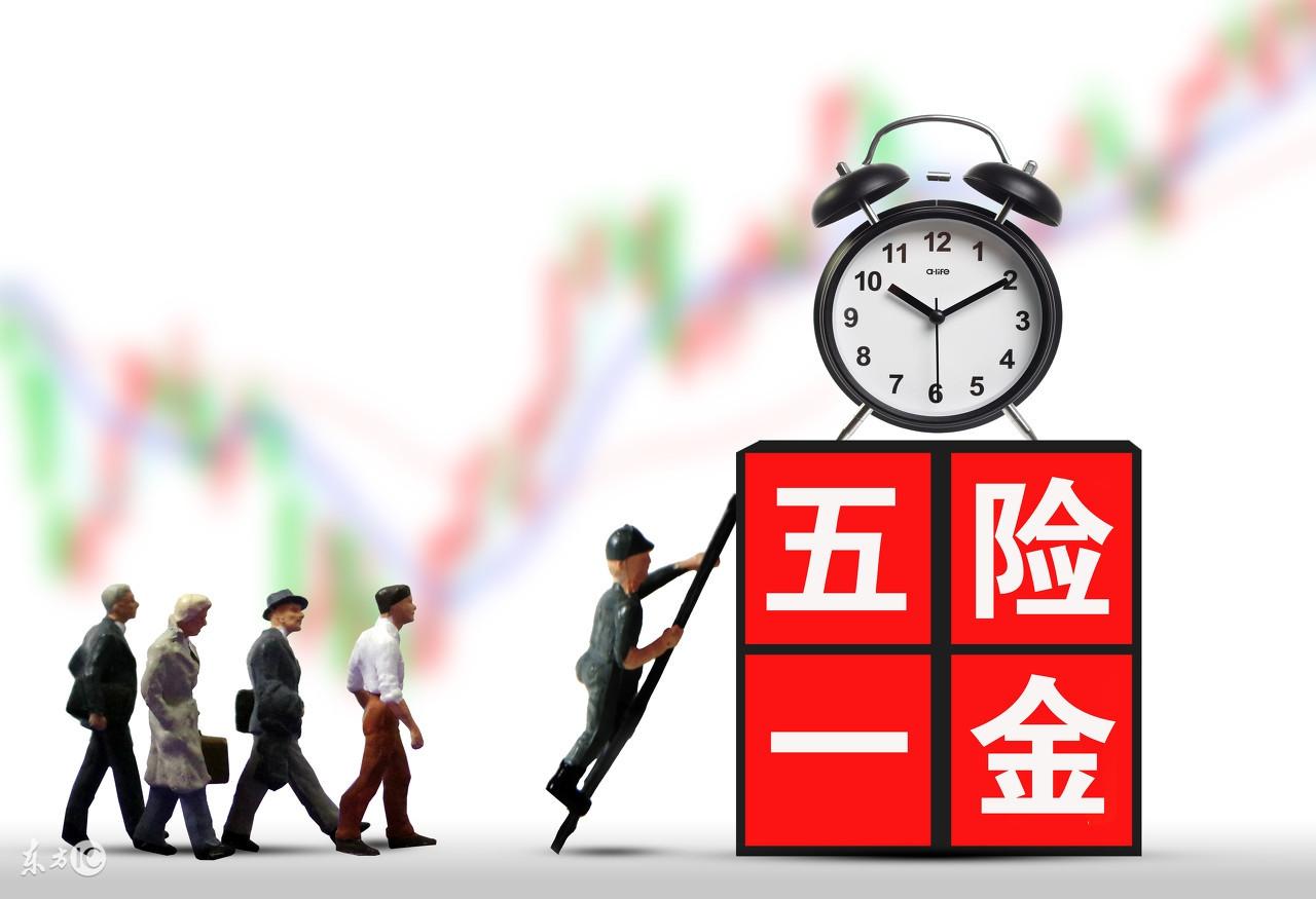 个人养老年金保险一年，安心养老，保障无忧