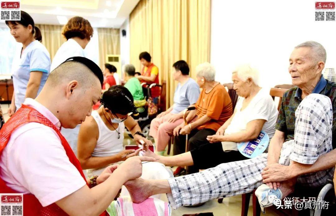 寄养老年犬的养护探讨与全面解析