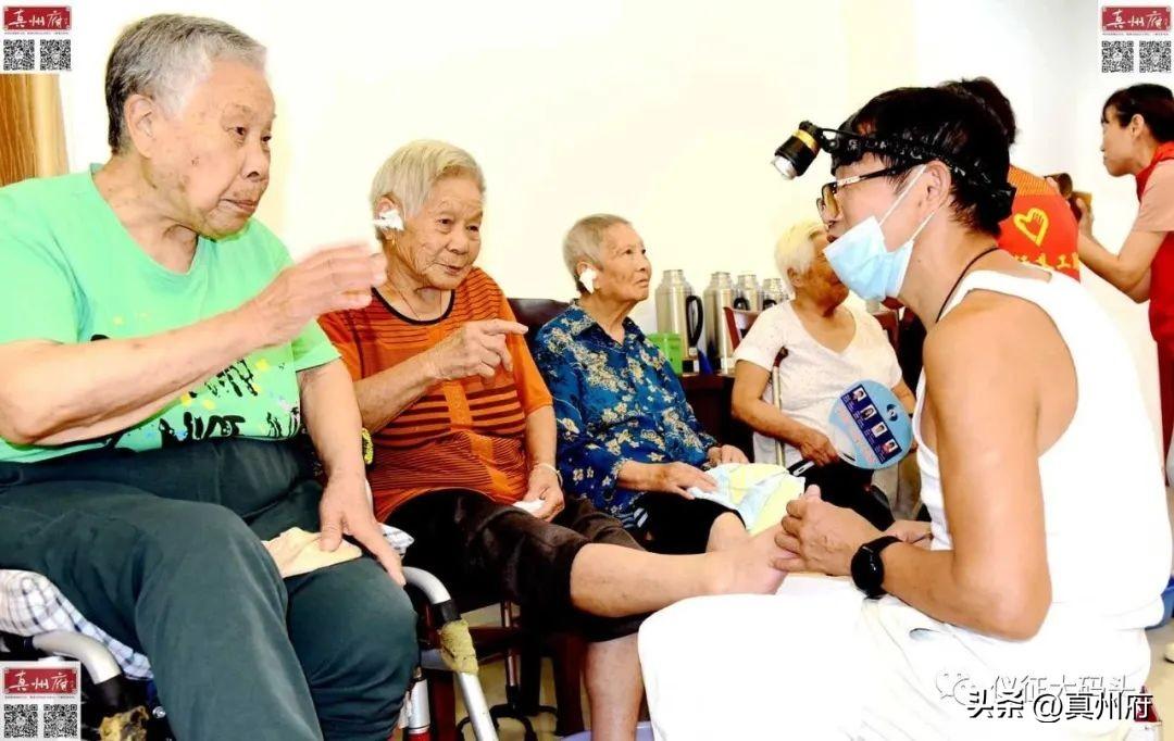 寄养老年犬好不好养？深度探讨与全面解析