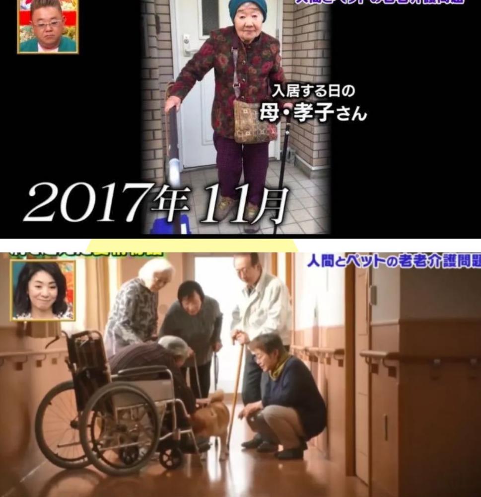 老年痴呆养老院内部视频曝光，护理挑战与改善需求的紧迫性