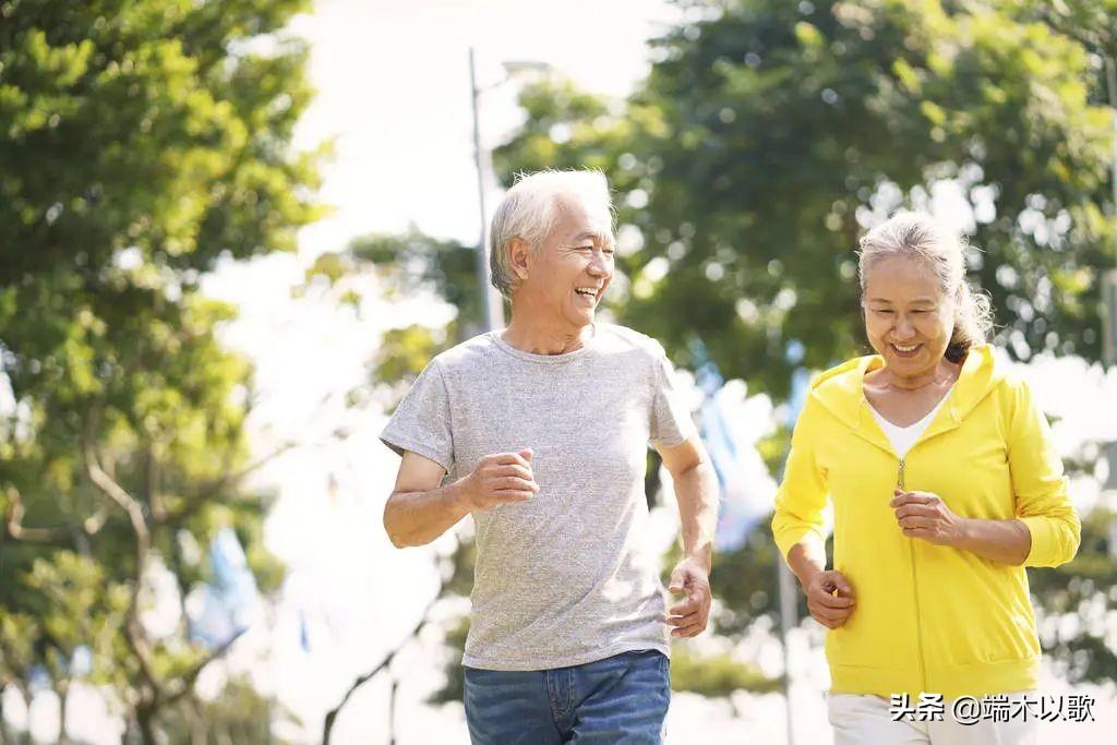 高收益型养老年金有哪些，深度解析与选择策略