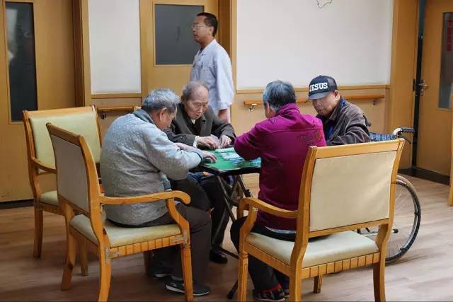 关于老年人养老院的名字，一个充满关怀与温暖的家园