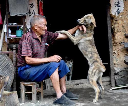 老年人养老费怎么办，探索与策略