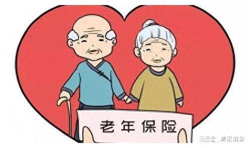 老年人养老保险激活指南，无忧启动养老保障之旅