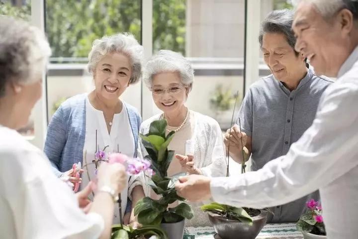 合伙老年人适合养老吗？探究共同养老模式的优劣与挑战