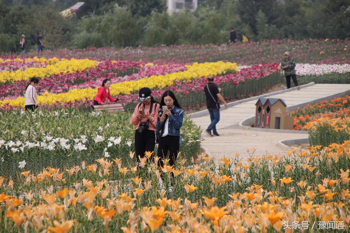 老年人养老百合园，打造温馨家园的理想选择