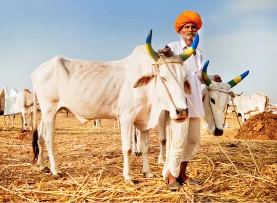 德里适合老年人养老吗？——深度解析与探讨