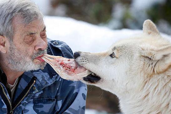 德国老年人养老新政策，重塑养老体系的探索与挑战