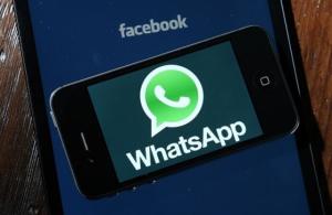 WhatsApp网页版，同事协作的新利器