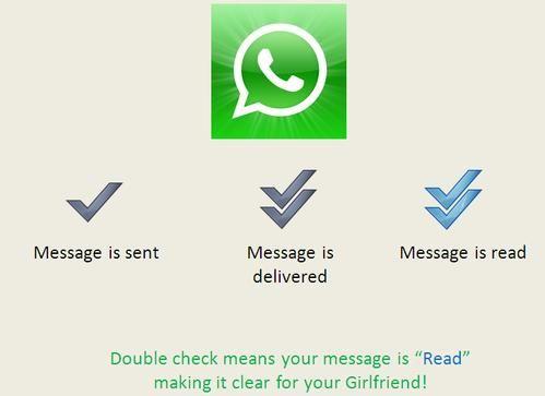 轻松完成跨区域协作，WhatsApp网页版新时代应用解析