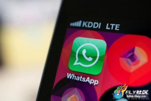 随时随地畅享联系，WhatsApp网页版全新体验探索