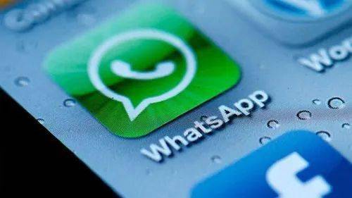 WhatsApp网页版，畅享快速清晰的语音交流体验