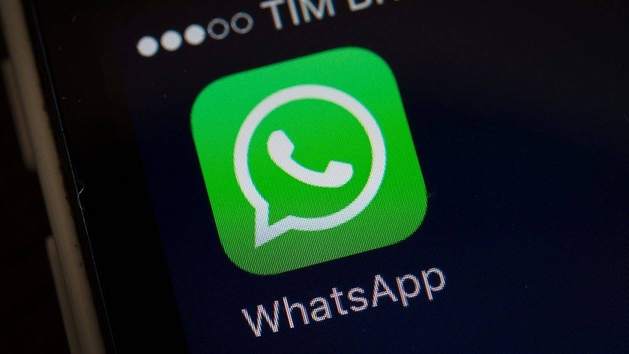 WhatsApp网页版，跨国联系的稳定可靠渠道